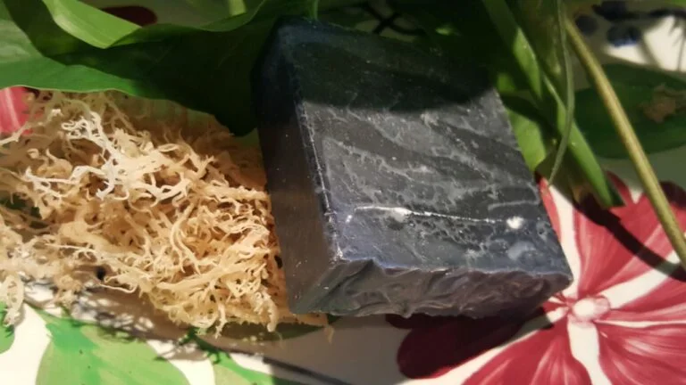 Sea Moss Soap (Ankh)