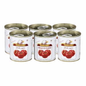 excellence tomato paste(50x70gr) (SUB)