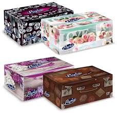 Papia Tissue box(Gbm)