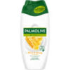 Palmolive Naturals Milk & Honey Shower Gel (Gsl)