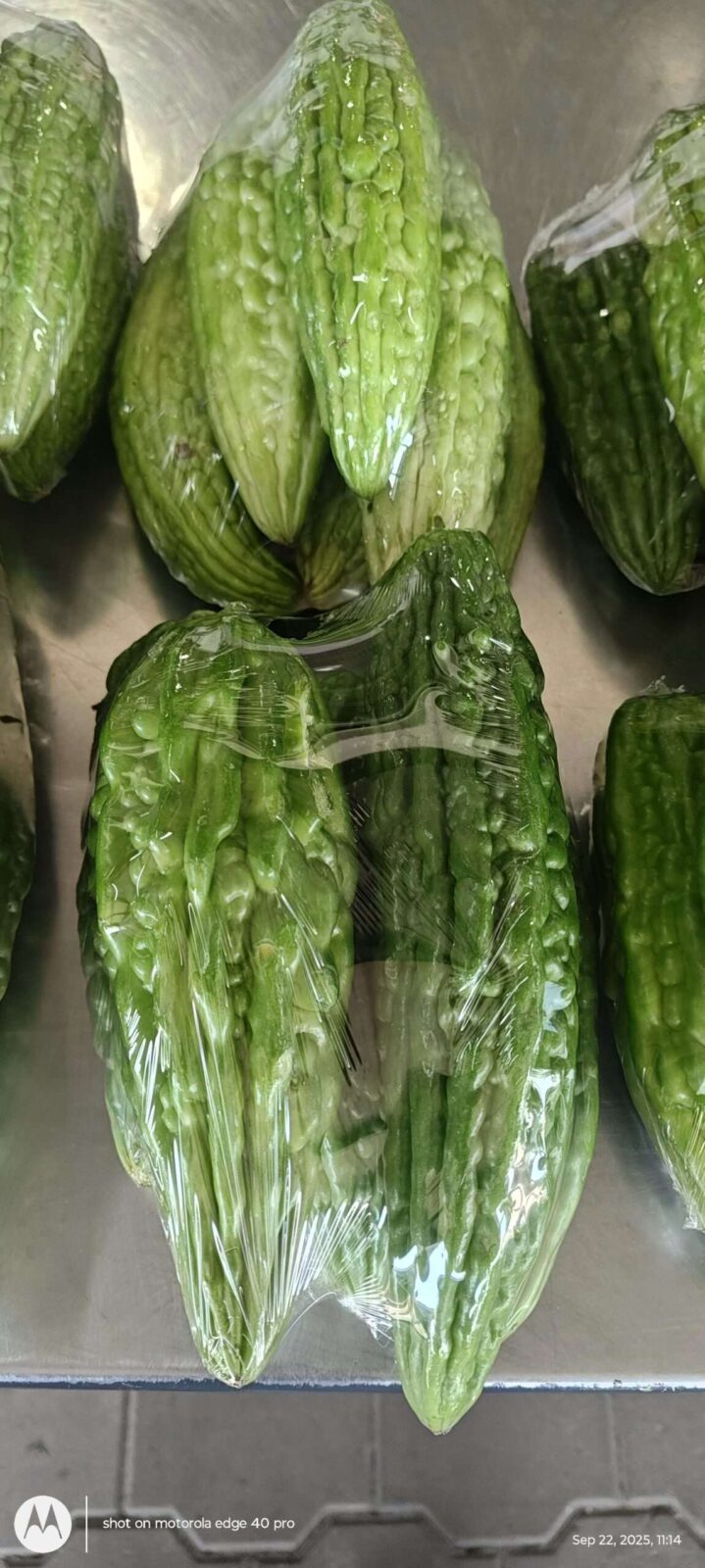 Sopropo( ZnBm) - Image 2