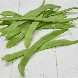 Snijbonen 500 gr (ZnBm)