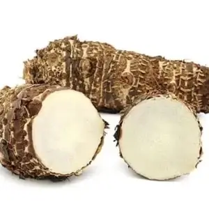 Chinese Tayer ( ZnBm) (Gbm)