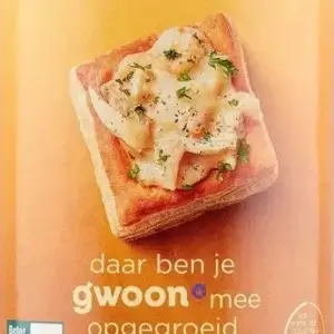 Gwoon Kippenvlees ragout  (C)