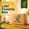 Wang Famirie Lobi Famirie Box liefdevol boodschappenpakket voor familie in Suriname