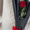 1 Roos – Klein Gebaar, Grote Betekenis