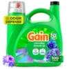 Gain Wasmiddel 2x High Efficiency Spring Daydream - FULL BOX
