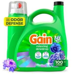 Gain Wasmiddel 2x High Efficiency Spring Daydream - FULL BOX